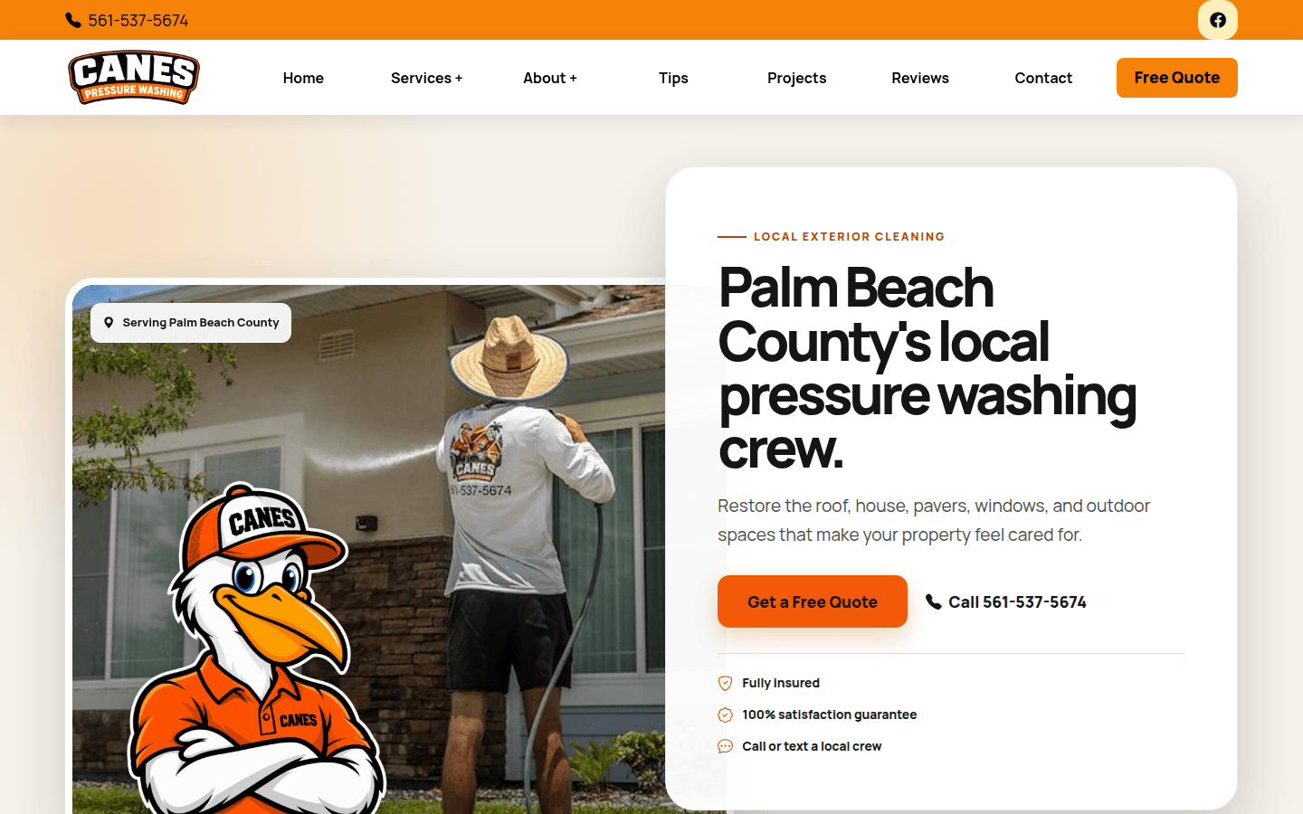Canes Pressure Washing